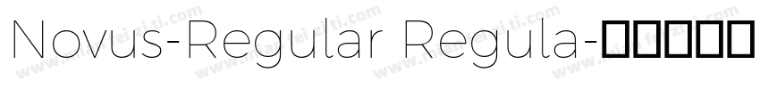 Novus-Regular Regula字体转换